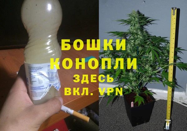сатива Абинск