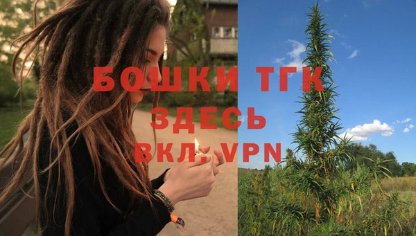 сатива Абинск