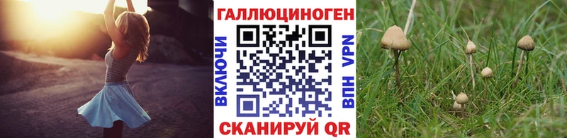Галлюциногенные грибы ЛСД hydra зеркало Новое Девяткино